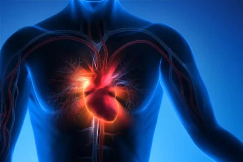 Heart Health